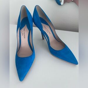 JCrew X Paul Andrew collection heels.